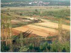 Žegarsko polje